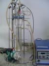 Reator de leito fluidizado